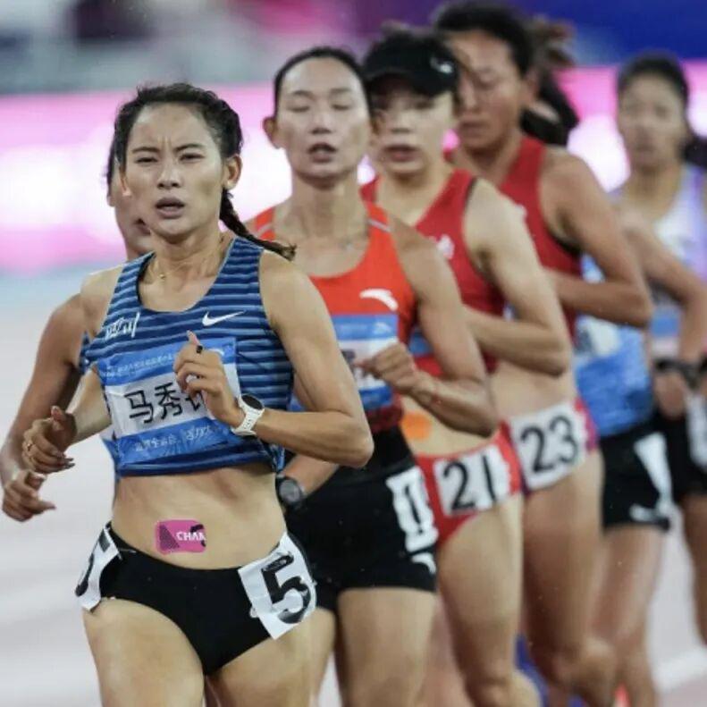 世界杯手机观看-重赏之下群星闪耀，且看金标重马5.5万美元冠军特奖落谁家